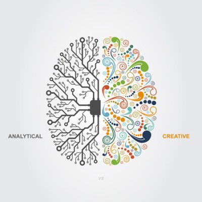 43562939 - left and right brain functions concept, analytical vs creativity