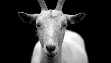 Ritholtz Says Lynch is the GOAT