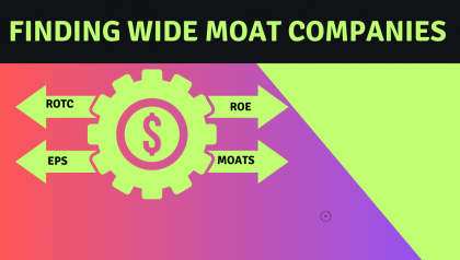 The Power of Wide Moat Stocks