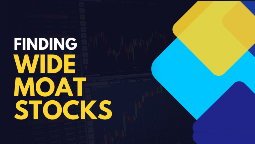 Finding Wide Moat Stocks: A Qualitative and Quantitative Guide